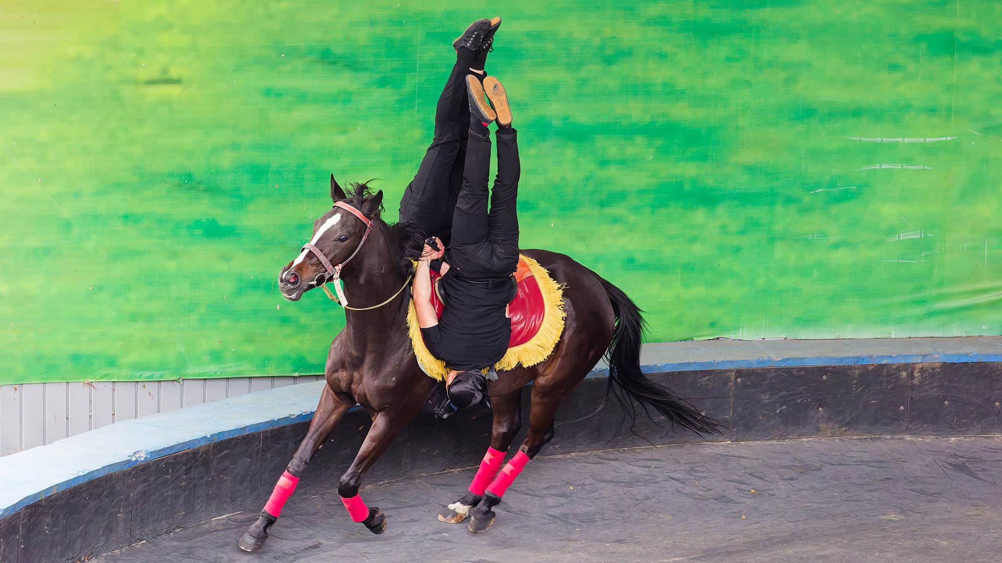 03 - Hehuanshan (44).jpg